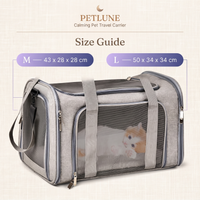 Soft-Sided Pet Travel Carrier