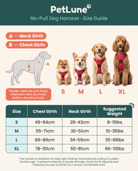 No-Pull Dog Harness