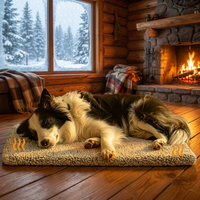 Self-Heating Thermal Pet Mat
