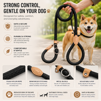 Anti Pull Slip Lead Dog Leash