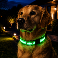 Rechargeable LED Dog Collar