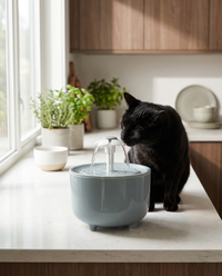 Electric Cat Water Fountain