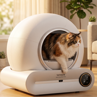 Cat using the self-cleaning litter box in a sunlit living room