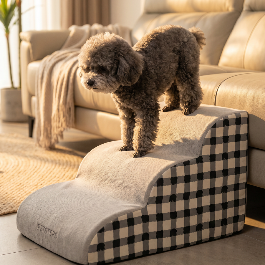 Small dog climbing pet safety stairs onto a sunlit sofa