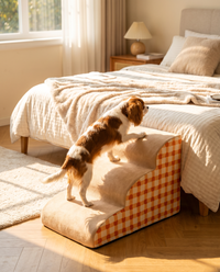 Orthopedic Foam Pet Stairs
