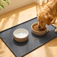 Silicone Pet Feeding Mat